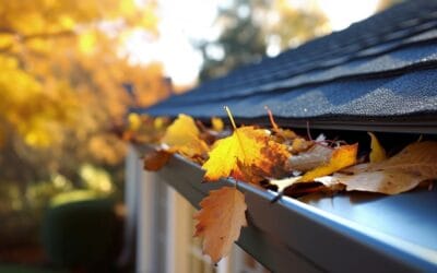 Autumn Roof Cleaning Tips: Gutters, Debris, and Shingles