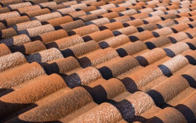 How Hot Weather Affects Your Roof – And What You Can Do About It
