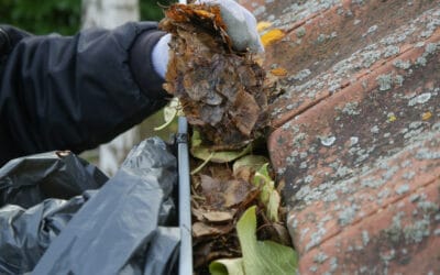 How to Clean Gutters in 5 Simple Steps