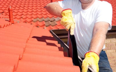 How to Keep Your Gutters Clean and Free from Debris This Spring?
