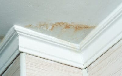 How to Spot Early Signs of Roof Leaks