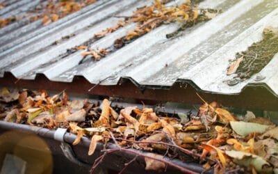 How to prevent clogged gutters in the fall?