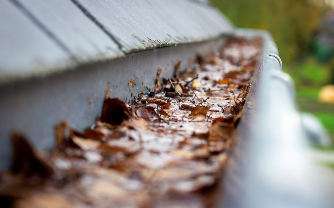Can Clogged Gutters Damage Your Roof? Prevention Tips