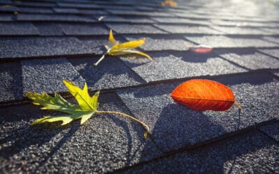 Gutter Guards vs Cleaning: Long-Term Savings Comparison