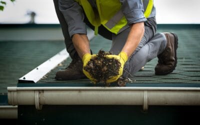 Professional vs DIY Gutter Cleaning: Safety & Cost Analysis