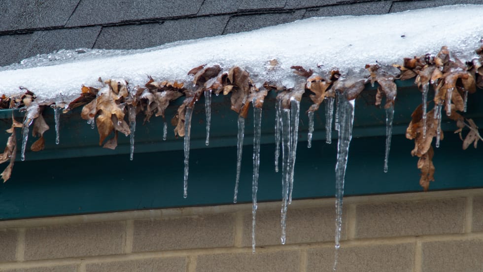 Ice dam and icicles forming on a leaf-clogged roof eavestrough in winter.